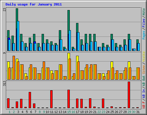 Daily usage for January 2011