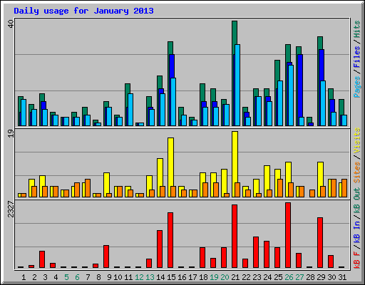 Daily usage for January 2013
