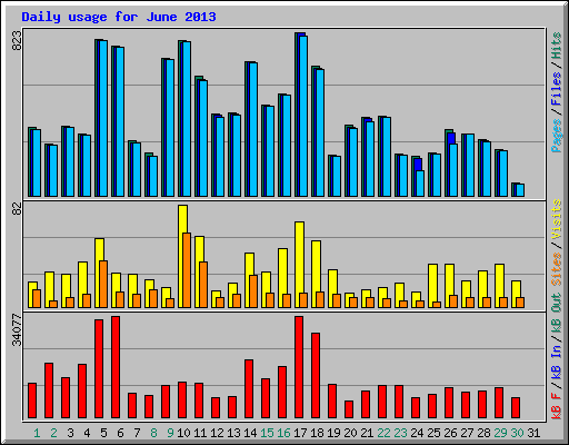 Daily usage for June 2013