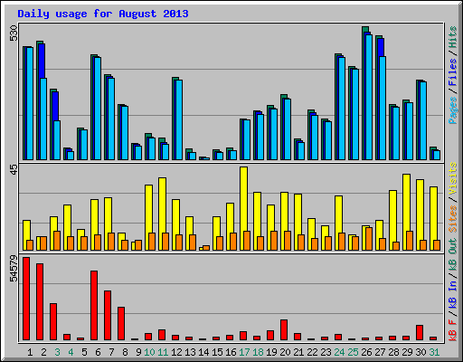 Daily usage for August 2013