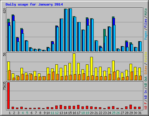 Daily usage for January 2014