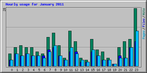 Hourly usage for January 2011