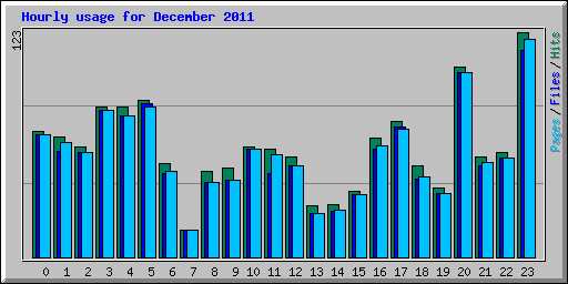Hourly usage for December 2011