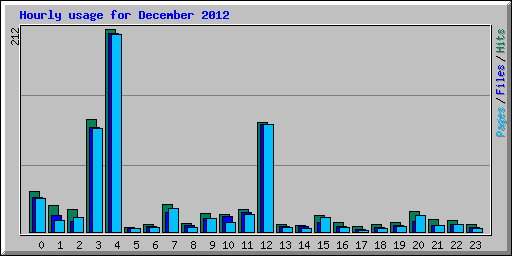 Hourly usage for December 2012