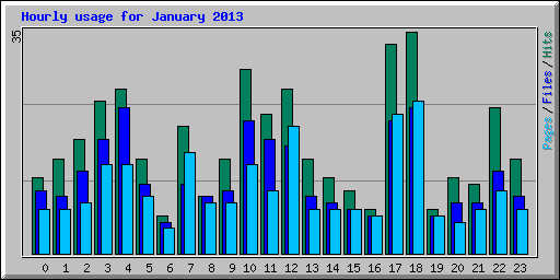 Hourly usage for January 2013