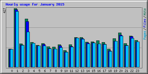 Hourly usage for January 2015