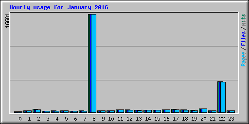 Hourly usage for January 2016