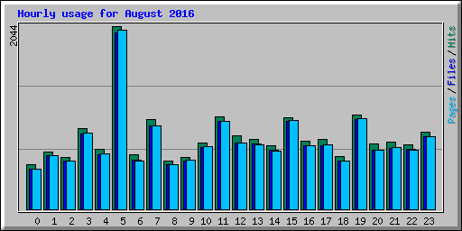 Hourly usage for August 2016
