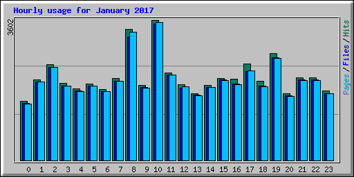 Hourly usage for January 2017