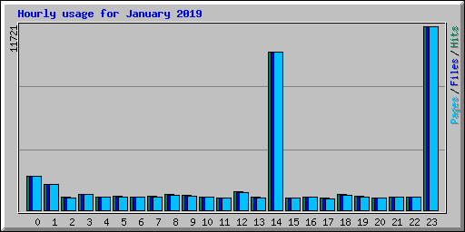 Hourly usage for January 2019