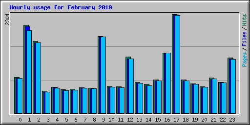 Hourly usage for February 2019